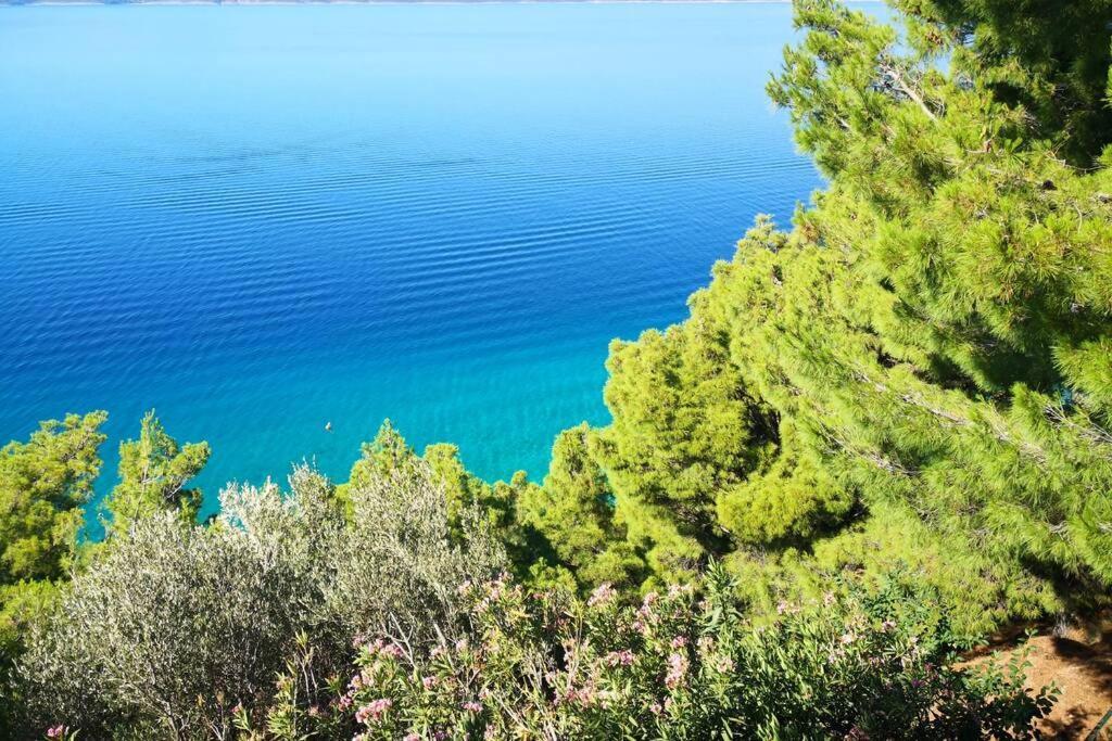 Beautiful Apartment 80 M From The Sea Marusici  Eksteriør bilde